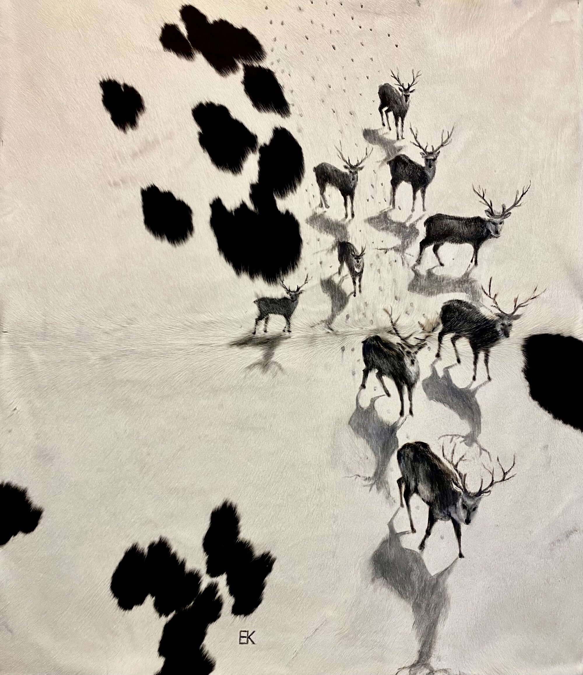 Fellbild „Code der Natur“: eine Herde Hirsche tritt aus der natürlichen schwarz-weißen Fleckung eines Kuhfells hervor und zieht über eine schneeweiße Fläche; signiert EK