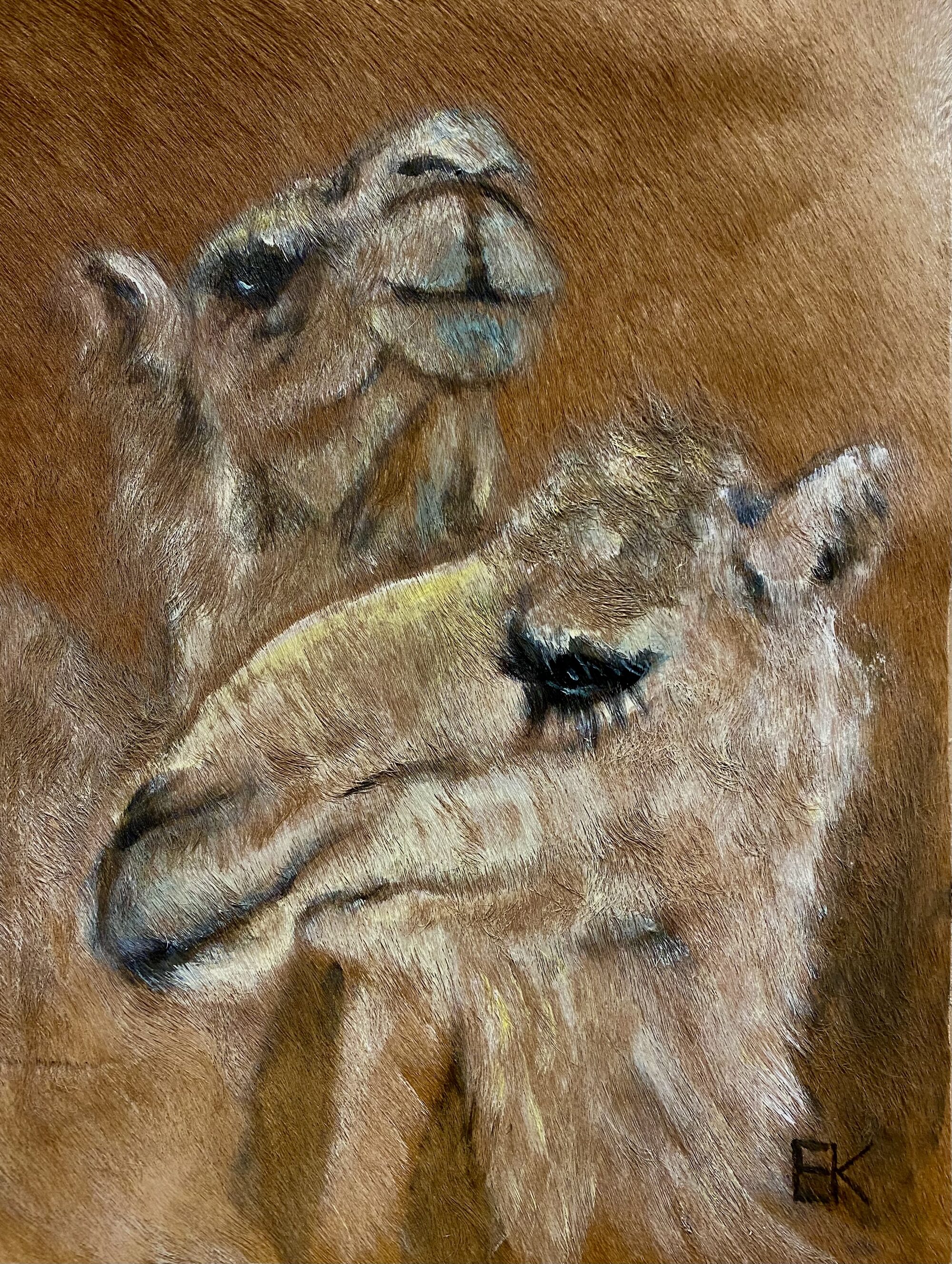 Zwei Gämsenköpfe dicht beieinander, gemalt auf naturbelassenem Fell